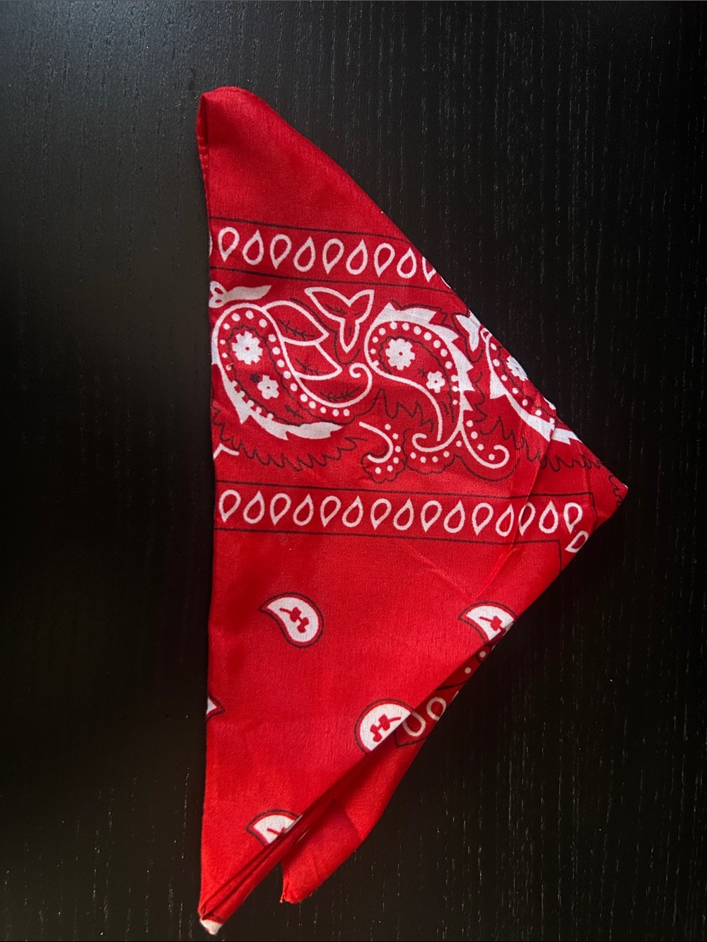 Classic Red Paisley Bandana